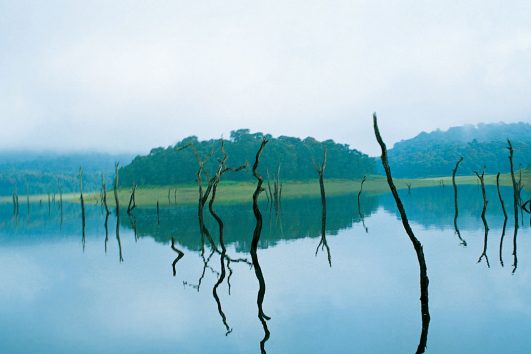 Thekkady